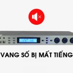 Vang Số Mất Tiếng